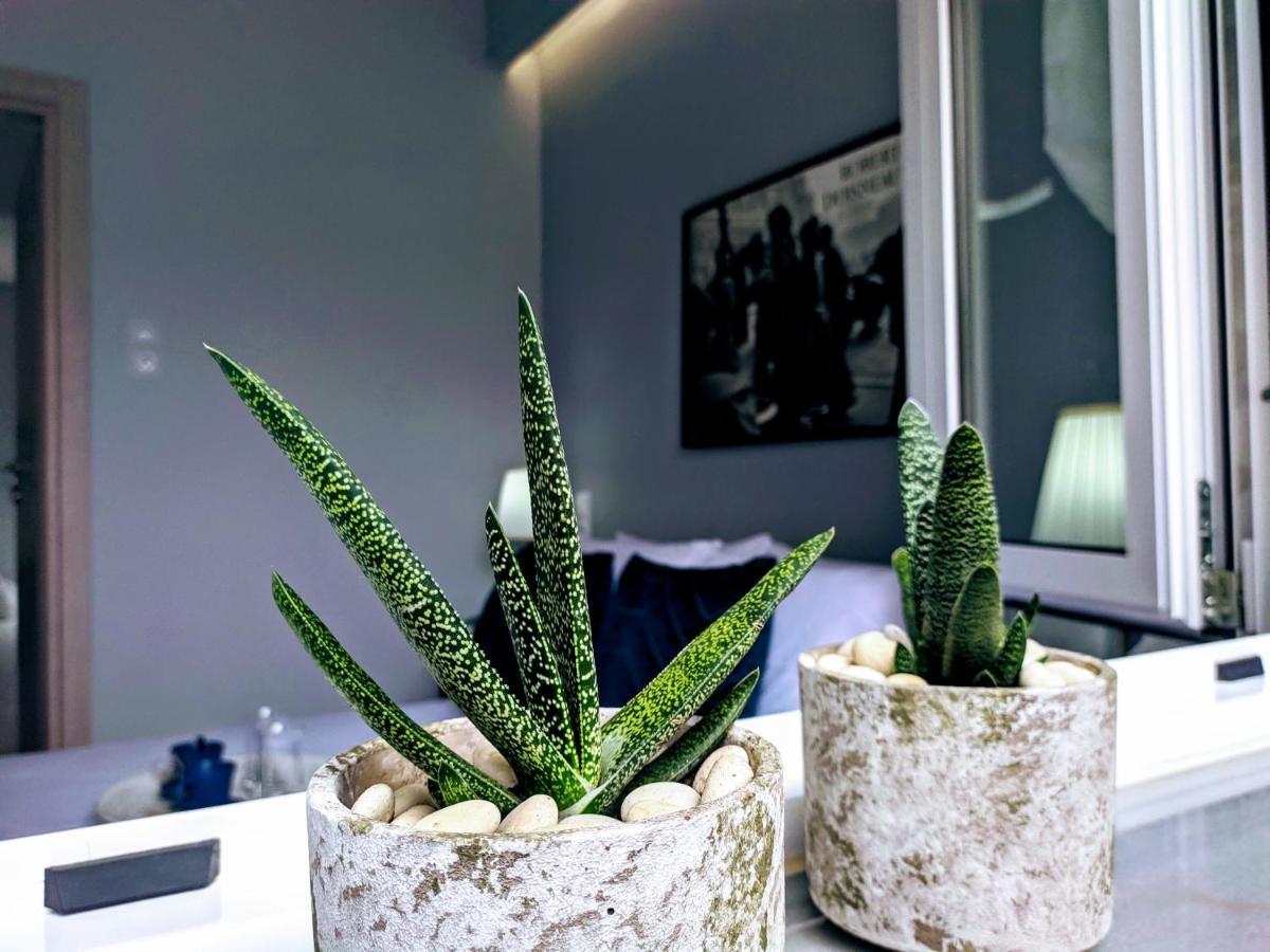 Gloria Apartment 扎金索斯镇 外观 照片